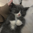 Ourcats Server Icon