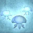 Lunar Jelly Lounge