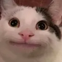 memechat