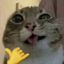 Porão do Pasini Discord Server Icon