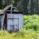 Memele's shed