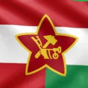 Turtle Brotherhood (TB team)