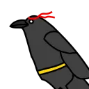 NinjaRaven's Roost