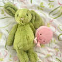 Discovery icon for sapphic seasons 𓂂 ˚﹒🌷 Discord server