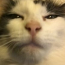 Discovery icon for Insane's Irritatingly Inconsistent & Irresponsible Community Discord server