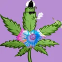 Lit Leaf Cannabis Club