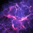 neurodiverse universe of quinn & plys