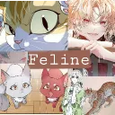 Feline🔸