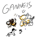 THE KINGDOM OF THE GANNETS