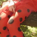 -ˋˏ✄┈Ladybug Trading Hub🐞