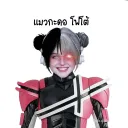 เเมวกะดอ โฟโต้.