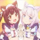 ˚◞♡  kittenss   ࣪∘ ˖.