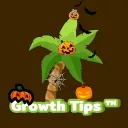 Growth Tips™