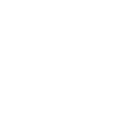 SkeletonNetworks Shop icon