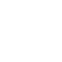SkeletonNetworks Shop
