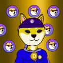 DogeChain Shiba Pack🐶