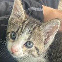 Sanatorium Discord server icon