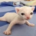 Kata Serber Discord Server Icon