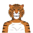 Tiger Ace Club