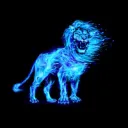 Die KC´s