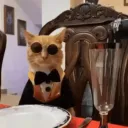 Mentally HandiCat Discord Server Icon