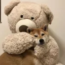 pink plushies ૮꒰˶˃̵ ^ ˂̵˵꒱ა
