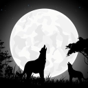 Moonrise