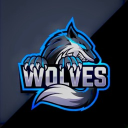 •  𝐖𝐎𝐋  𓆩✧𓆪  𝐕𝐄𝐒  •