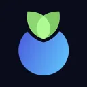 Blueberry Protocol