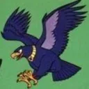 Birdman Ultra Cool Random Fan Base !!! Like Omfg !! Duuuuuuuuuuuude !!!