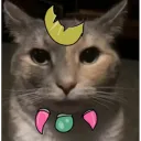 彡 Abby tásticos PRIME 彡 Discord Server Icon