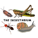 Discovery icon for The Insectarium Discord server