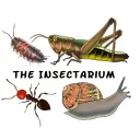 The Insectarium Discord Server Icon