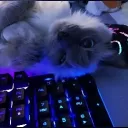 ro:Fearless | dev