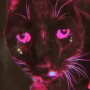 🐈 croaky's catwalk 🐈