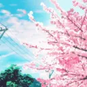 Sushi-Squad  Discord Server Icon