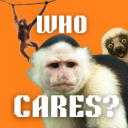Who Cares? Server Icon