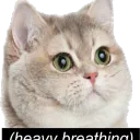 Domatron Dot Net