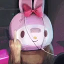🌱ファン鯖