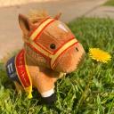 General Horse