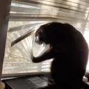 Big Runky