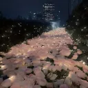 ✧𝐂𝐨𝐳𝐲 𝐋𝐨𝐟𝐭✧ discord icon