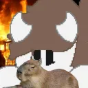 The CampFiret