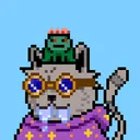 SolCats NFT