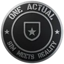 One Actual - Sim Meets Reality