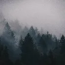Sigma