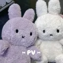 ۶۟ৎ ⍴ur⍴ᥣᥱvᥱrsᥱ ִֶָ 𓂃 • [𝑐𝑜𝑧𝑦  𝑧𝑜𝑛𝑒] ⋆