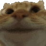 Catnod Appreciators Discord Server Icon