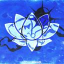 Lotus Studio