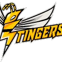 Stingers Esports